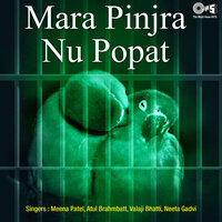 Dadam Ne Daliya - Meena Patel