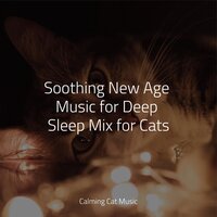 Take a Break - Music For Cats Peace & Calm Music for Cats & Official Pet Care Collection