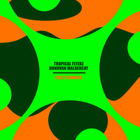 First Summer - Tropical Flyerz & Donovan Maldercat