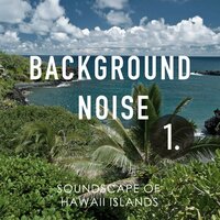 Soundscape of Hawaii Islands, Pt. 20 - Thomas O'Reilly