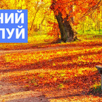 Осенний поцелуй