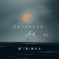 世界上有什么东西不是假的 - 劉二嘉 & 陶金金