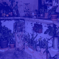 Amazing Jazz Saxophone - Vibe for Organic Cafes - Coffee Shop Music Groove