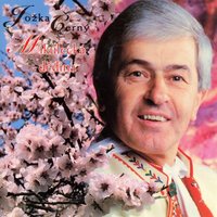 Zaspala Nevěsta / Nevydávaj Sa Ty Dívče Ještě - Jožka Černý