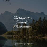 Unwind in the Tropics - Yoga Workout Music & Relaxing music & Sleep Sound Library