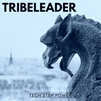 7 Tech - Tribeleader