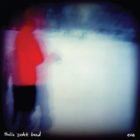 Not Farewell - Thalia Zedek Band