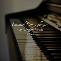 Tender Rumbles - Little Magic Piano & Piano Relax & Study Music and Piano Music