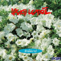รักเอ๋ยรักข้า - หยาด นภาลัย