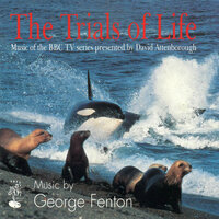 Wildlife on One - Too Close for Comfort - George Fenton