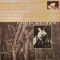 Snakes and Swallowtails - Chris Spedding