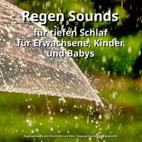Vitalisierende Ferne - Regengeräusche zum Einschlafen Lars Honn & Regengeräusche & Naturgeräusche