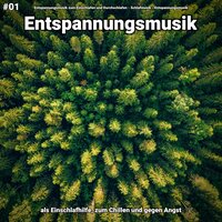 Ihre Freude - Entspannungsmusik & Schlafmusik & Entspannungsmusik zum Einschlafen und Durchschlafen