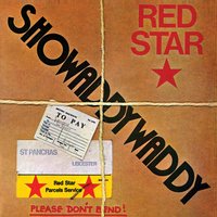 You Got What It Takes - Showaddywaddy
