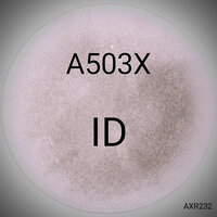 Insecurity - A503X