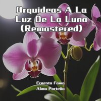 Parque Patricios - Ernesto Fama & Alma Porteña