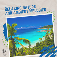 Listen To Nature Art - #Sleep & Sleep Sounds Of Nature