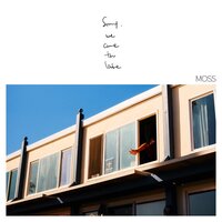 November - Moss