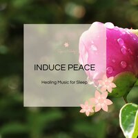 Exquisite Piano - Liquid Ambiance