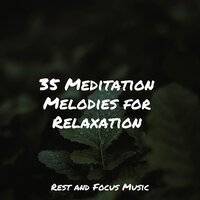 Drifting Off - Schlaflieder Für Kinder & Classical Study Music & Music to Relax in Free Time