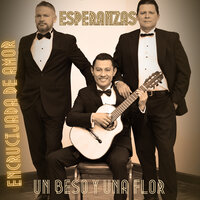 Encrucijada de Amor- Un Beso y una Flor/ Esperanzas - Los Tres Romanticos & Andres Caicedo & The Divas Trio