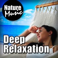 Clear Your Mind - Tranquil Nature with Birds - Nature Music