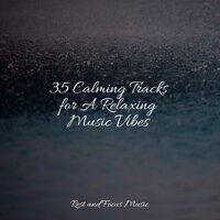 Unwind Rewind - Sounds of Nature White Noise for Mindfulness Meditation and Relaxation & Baby Sleep Music & Meditation