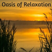 Moonlight (Relaxing Music) - Kurt Oasis