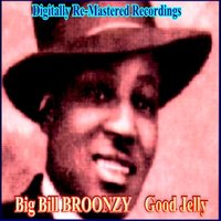 Big Billy Blues - Big Bill Broonzy
