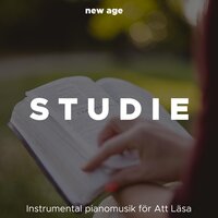 Ren harmoni - Stevie Best & Tuscany Moods & Tuscany Moods & Stevie Best