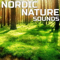 Relaxing Nordic Nature Sounds - NatGeo Nature Soundscapes & NatGeo White Noise Sounds FX & NatGeo Soundscapes & Weather Network