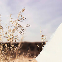 Bubbly Ambiance for Sleepy Sundays - Soft Background Jazz