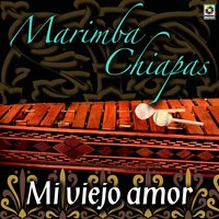 Me Muero Por Estar Contigo - Marimba Chiapas