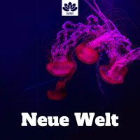 Einschlafmusik - Musik zum Einschlafen und zur Entspannung, Teil 2 - Schlaflieder 101 & Entspannungsmusik Akaedmie & Schlaflieder 101 & Entspannungsmusik Akaedmie