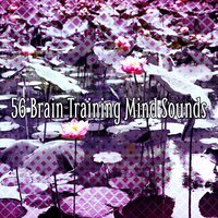 The Leaky Metal Barrel - Asian Zen Spa Music Meditation
