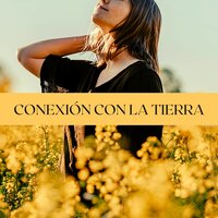 Conexión con la Tierra - Música Japonesa Maestro
