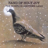 Accordion; Latgalite Flea Market - Band of Holy Joy