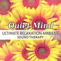 Massage Music - Calm Music Zone