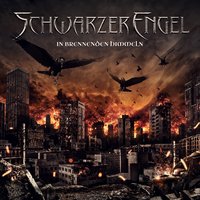 Schwarze Sonne - Schwarzer Engel