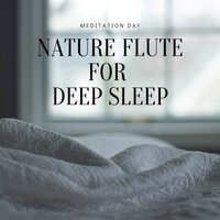 Calm Mind - Meditation Day