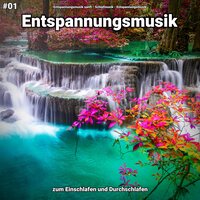 Ruhige Sounds für Hunde - Entspannungsmusik sanft & Schlafmusik & Entspannungsmusik