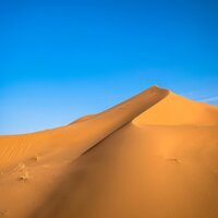 Perserverance - Dune