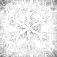 Us, the Rage - Winds Brought Siberia