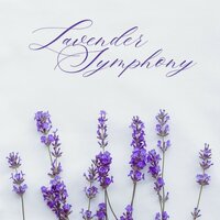 Relaxing Music - Sleep Music Relaxation