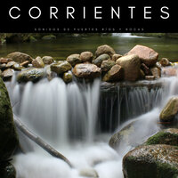 Río Entre Piedras - Musica relajante & Sonidos Naturaleza & Paz Interior