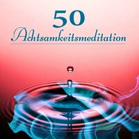 Reiki Musik - Zen Buddhismus Regeneration Sammlung