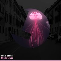 Pegasus - Stil & Bense