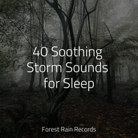 Wetland, Rain, Puddle, Frogs - Entspannungsmusik & Música Zen Relaxante & Sonidos de lluvia para dormir