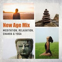 Brain Hypnosis - Mindfulness Meditation Guru