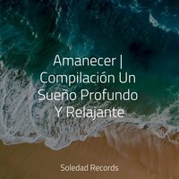 Laguna Cósmica - Sonido Del Bosque y Naturaleza & Meditación Guiada & Canciones de Cuna 101